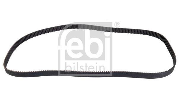 Timing Belt